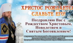 Рождественское поздравление Главы Миссии Синодального отдела УПЦ по делам семьи